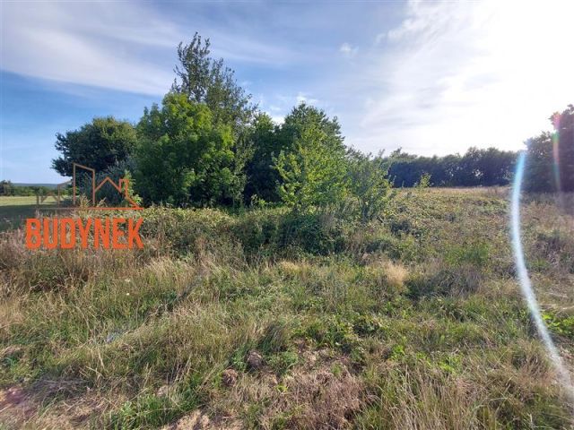Działka rolna Kopnica. Zdjęcie 5