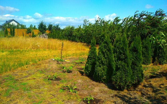 Działka budowlana Wrzosowo, szuwarkowa. Zdjęcie 14