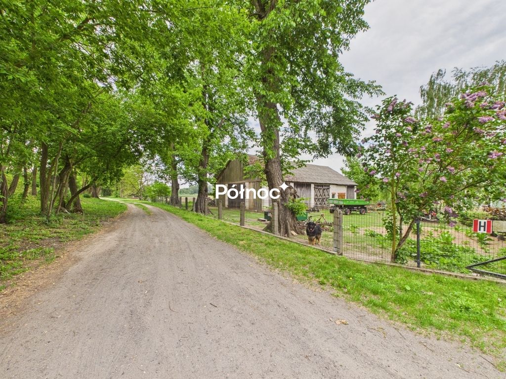 dom wolnostojący, 6 pokoi Chmielewo. Zdjęcie 8