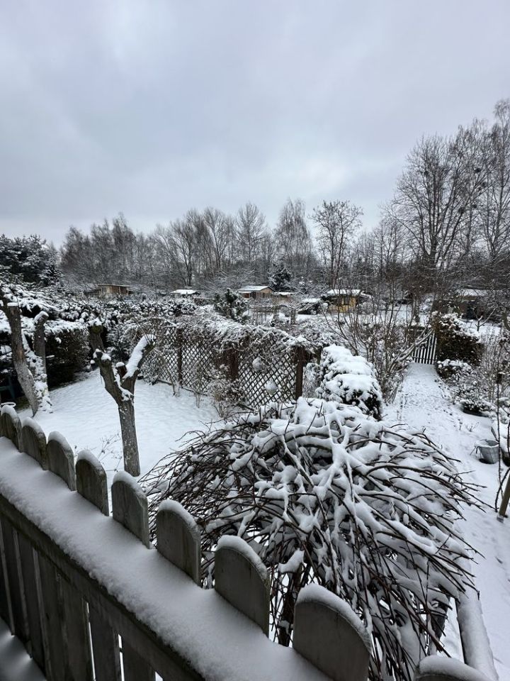 Działka rod Gliwice Sośnica. Zdjęcie 6