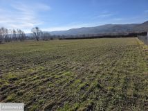 Działka rolno-budowlana Ostroszowice. Zdjęcie 3