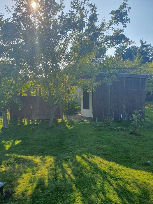 Działka rod Rumia Janowo. Zdjęcie 1