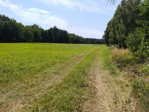 Działka rolna Grabowiec Stawiszcze. Zdjęcie 2