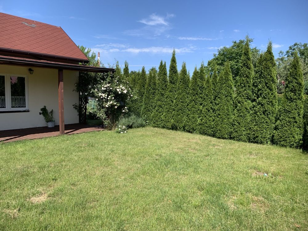 Działka rod Toruń Rubinkowo, ul. Klonowa. Zdjęcie 7