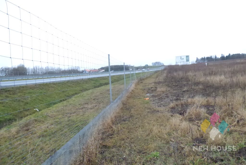 Działka inwestycyjna Dorotowo. Zdjęcie 3