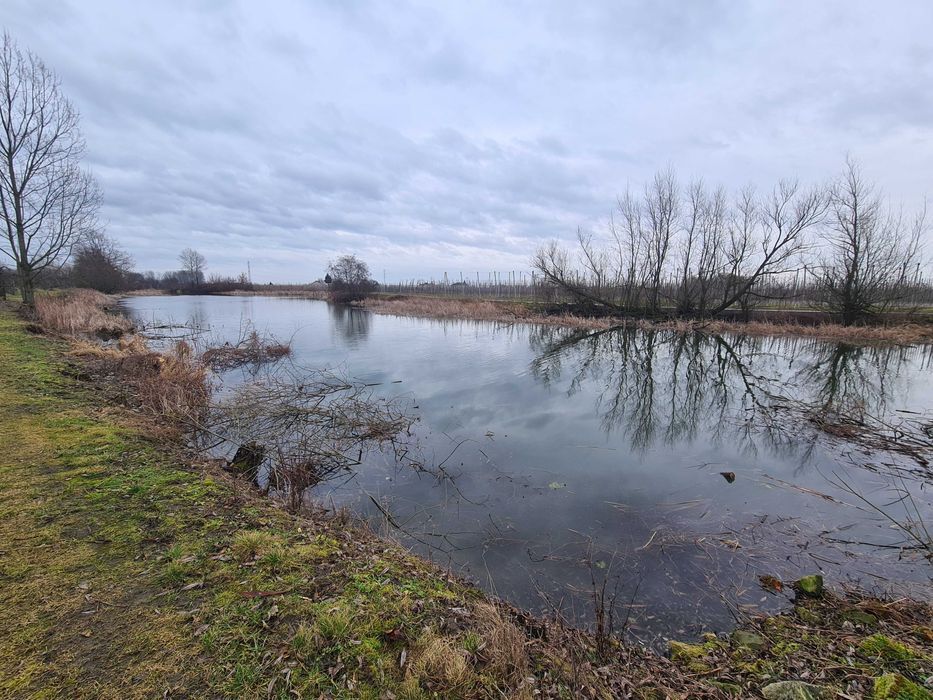 Działka rolno-budowlana Stare Podole. Zdjęcie 6