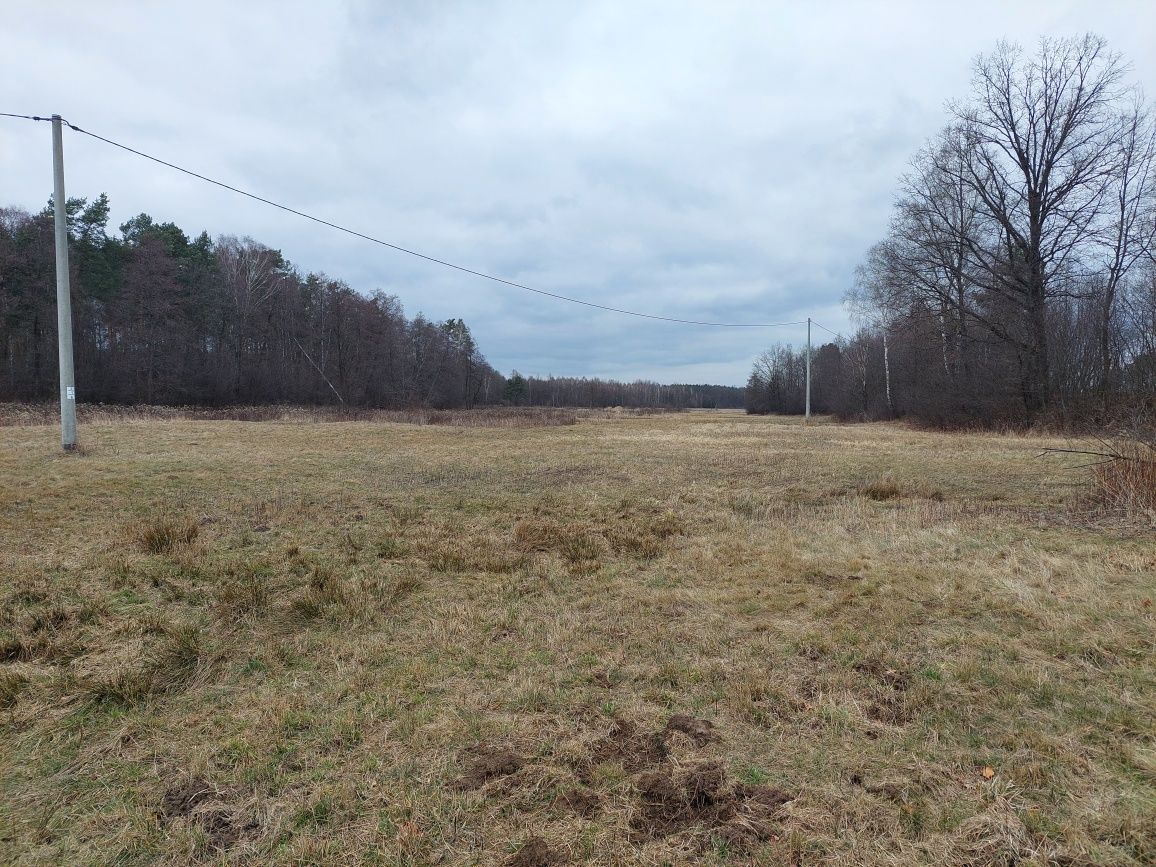 Działka inwestycyjna Mołodycz. Zdjęcie 4