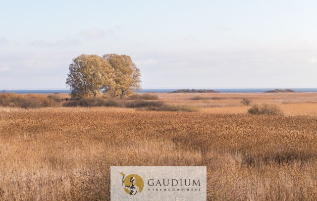 dom wolnostojący, 15 pokoi Rewa. Zdjęcie 10