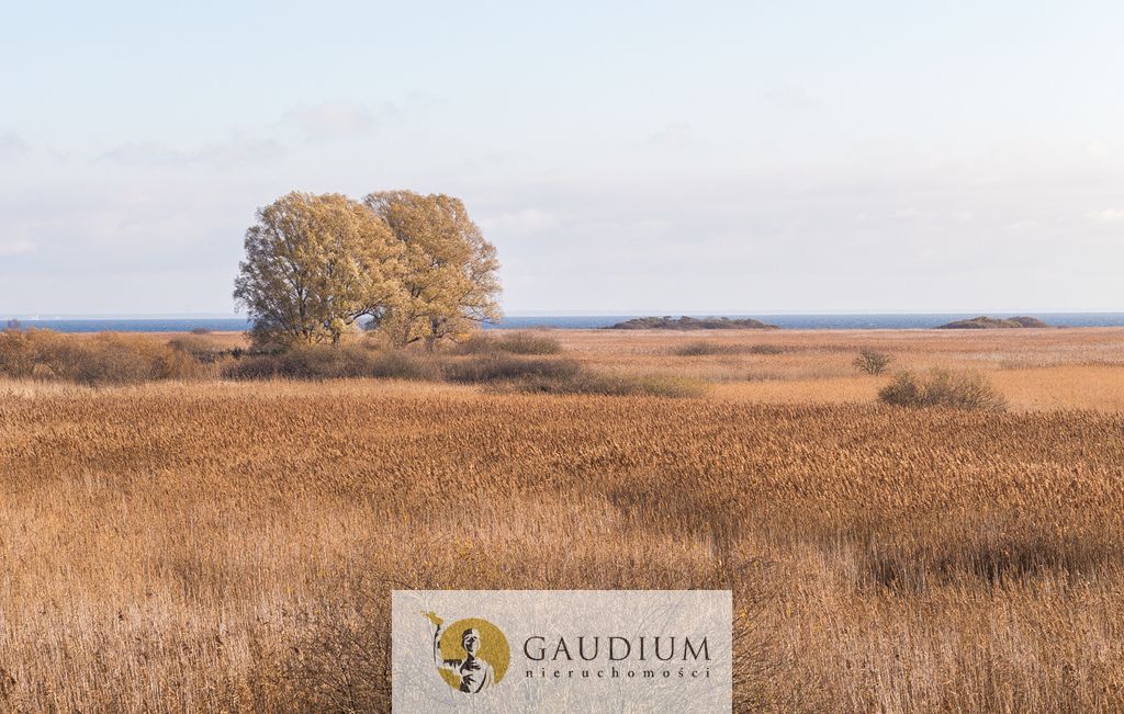 dom wolnostojący, 15 pokoi Rewa. Zdjęcie 10