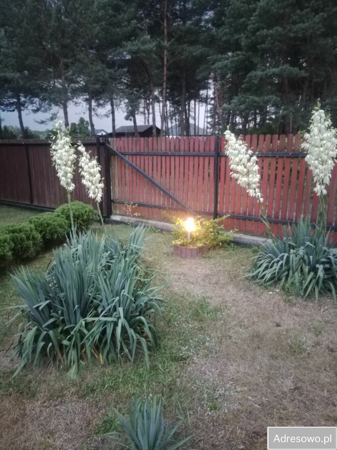 Działka budowlana Kamieńczyk, ul. Jeżynowa. Zdjęcie 12