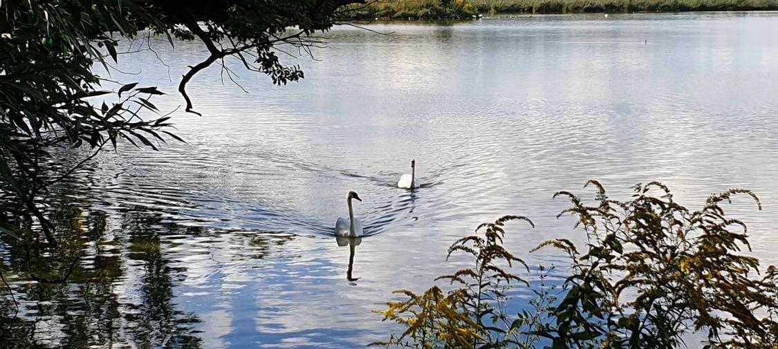 Działka budowlana Racibórz Markowice. Zdjęcie 6