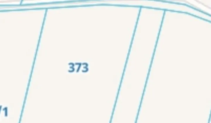 Działka rolna Kuźniczysko, Brak