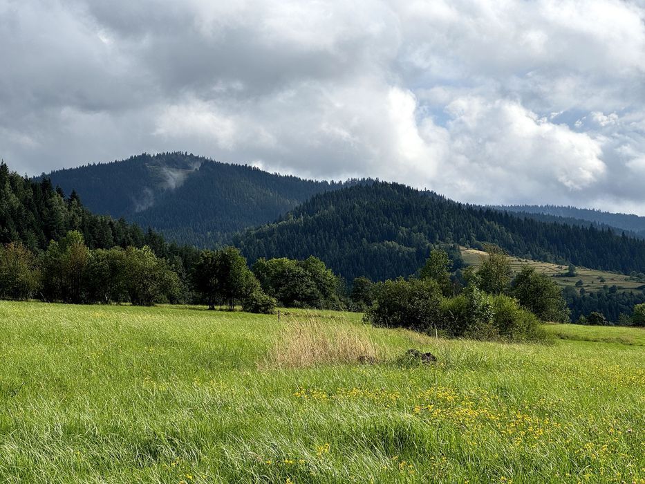 Działka budowlana Poręba Wielka. Zdjęcie 8
