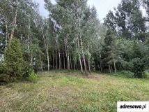 Działka rolna Smoleń-Poluby. Zdjęcie 2