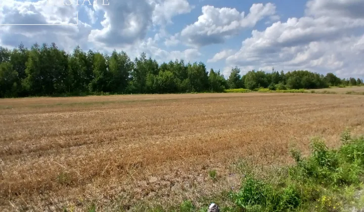 Działka budowlana Krze Duże