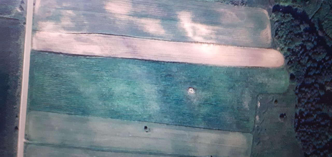 Działka rolna Filipów, Filipów. Zdjęcie 2