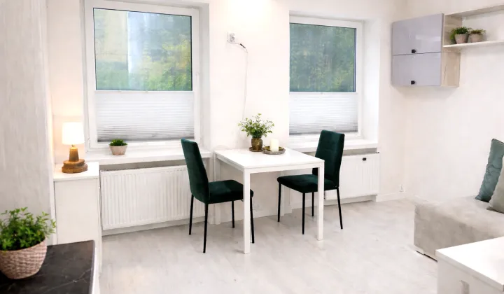 Mieszkanie 1-pokojowe Łódź Księży Młyn, park im. Jana Kilińskiego