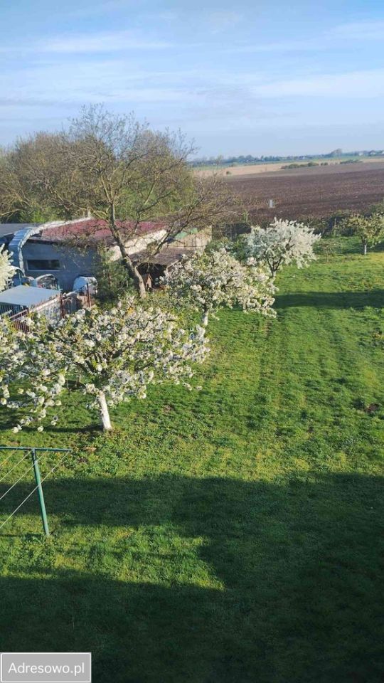 dom wolnostojący, 5 pokoi Jacewo. Zdjęcie 5