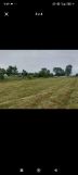 Działka budowlana Głużek. Zdjęcie 1