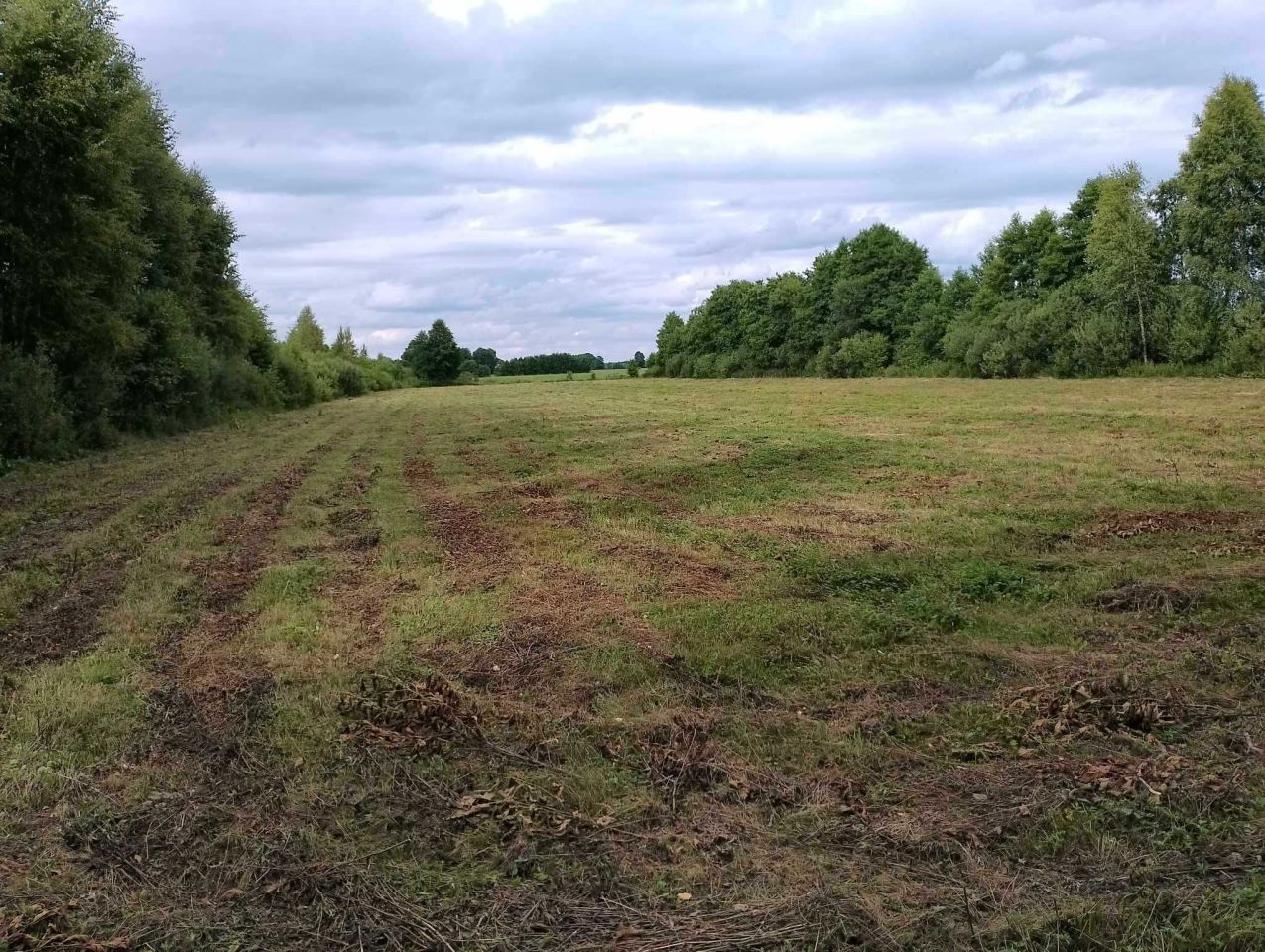 Działka rolna Tartak. Zdjęcie 2