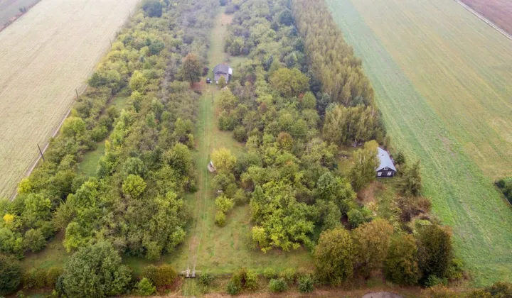 Działka siedliskowa Żerocin