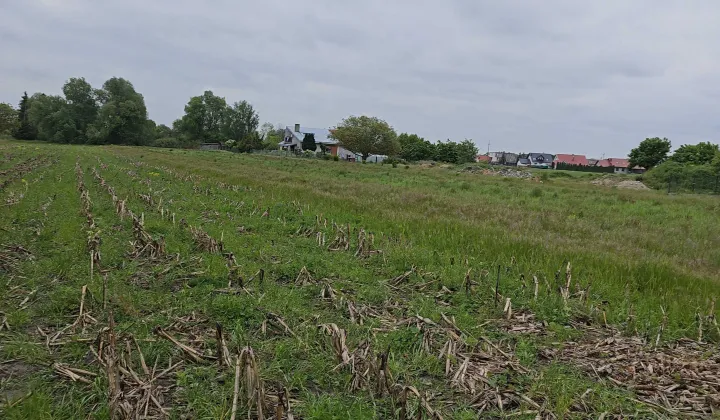 Działka budowlana Gorzów Wielkopolski, ul. Ziemiańska