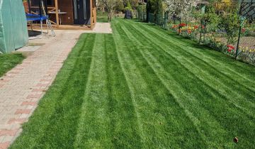 Działka rod Czempiń