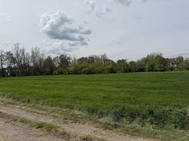 Działka budowlana Jeżowe Zagościniec. Zdjęcie 2