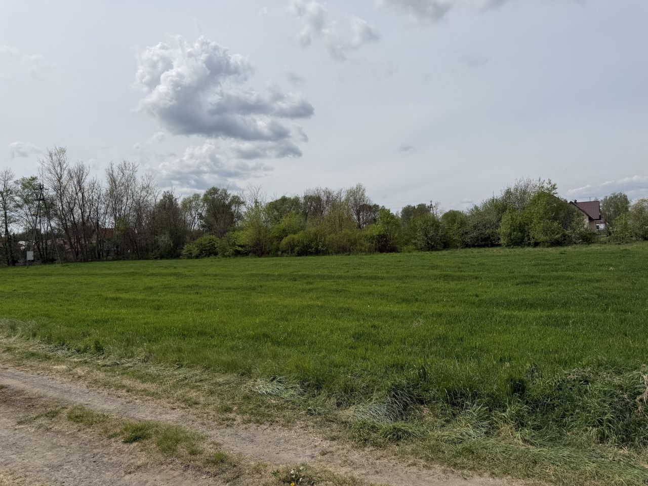 Działka budowlana Jeżowe Zagościniec. Zdjęcie 2