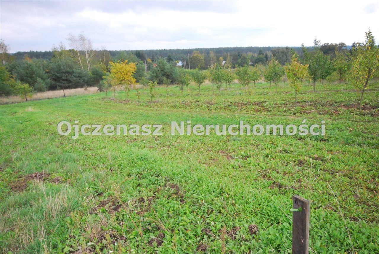 Działka budowlana Tryszczyn. Zdjęcie 2