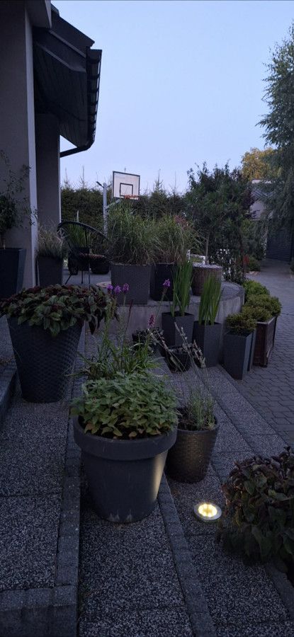 dom wolnostojący, 5 pokoi Lewiczyn. Zdjęcie 25