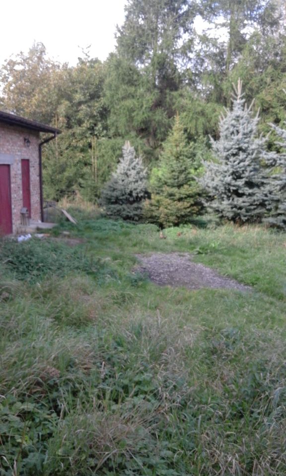 Nieruchomość komercyjna Kąpiele Wielkie Sarnie Doły. Zdjęcie 12