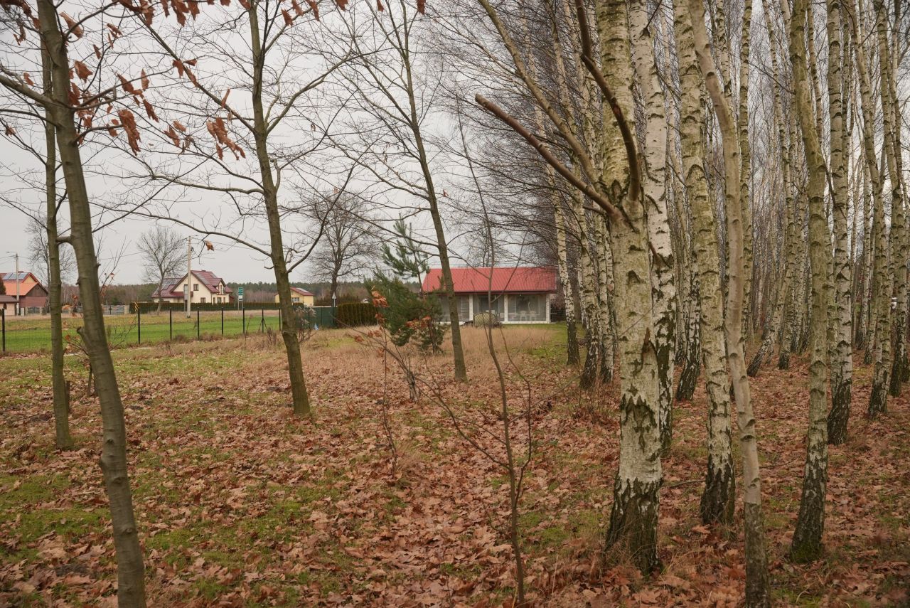 Działka budowlana Lgoczanka. Zdjęcie 14