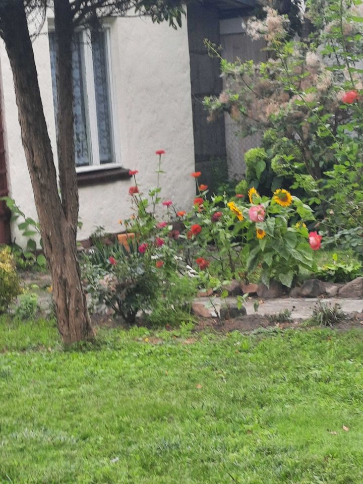 Działka rod Grudziądz. Zdjęcie 4