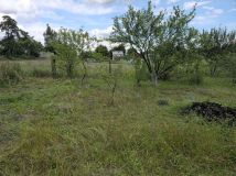 Działka budowlana Krzywin, Drzewiarzy. Zdjęcie 3