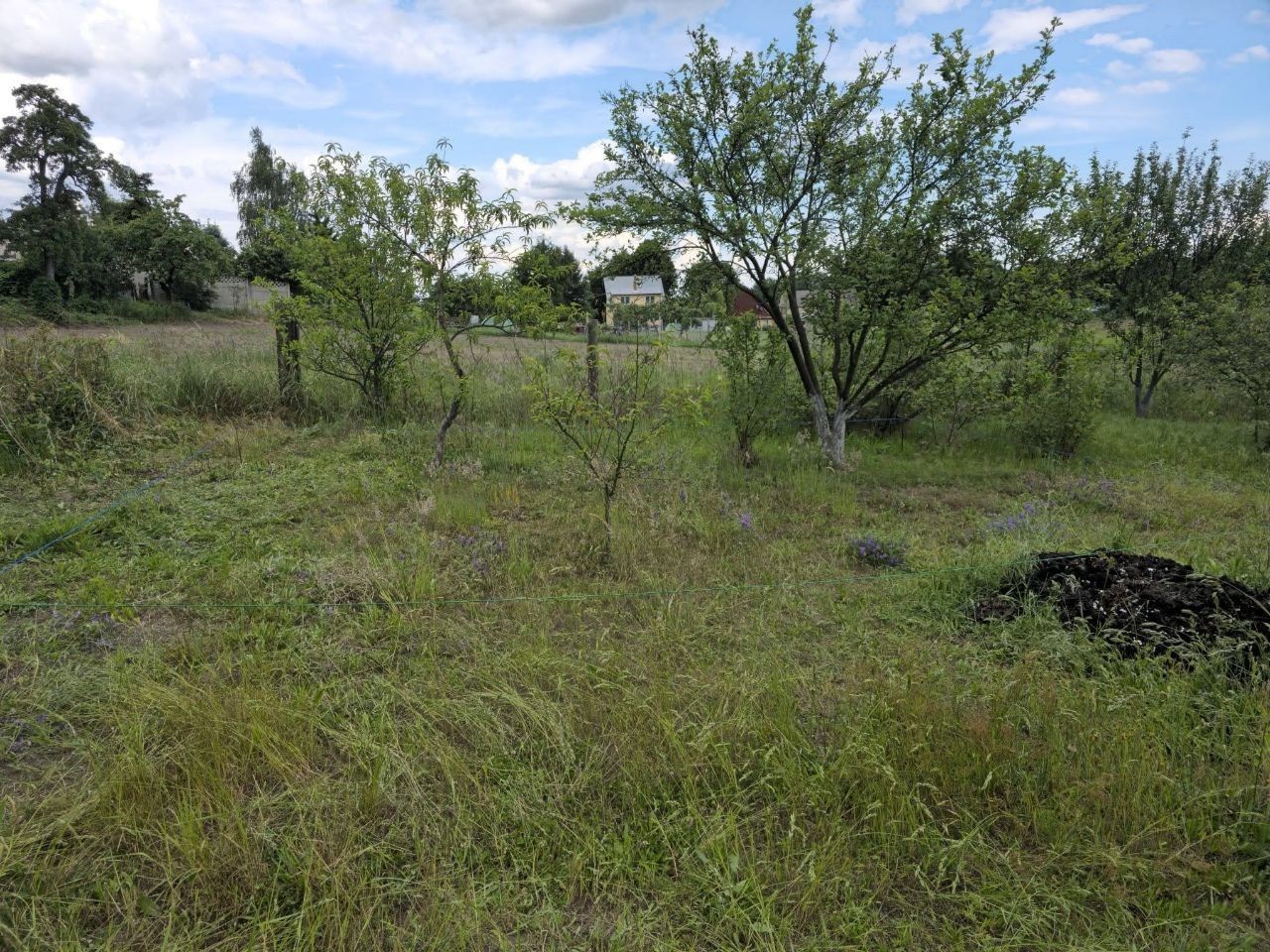 Działka budowlana Krzywin, Drzewiarzy. Zdjęcie 4