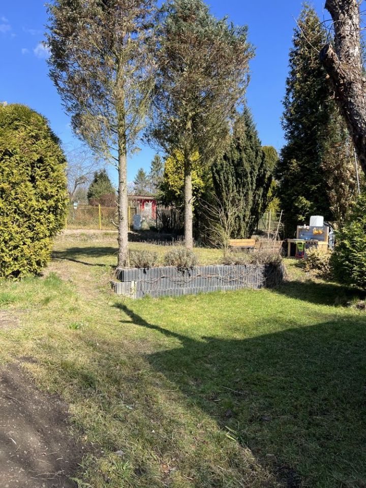 Działka rod Gliwice Ostropa, ul. Ku Dołom. Zdjęcie 8