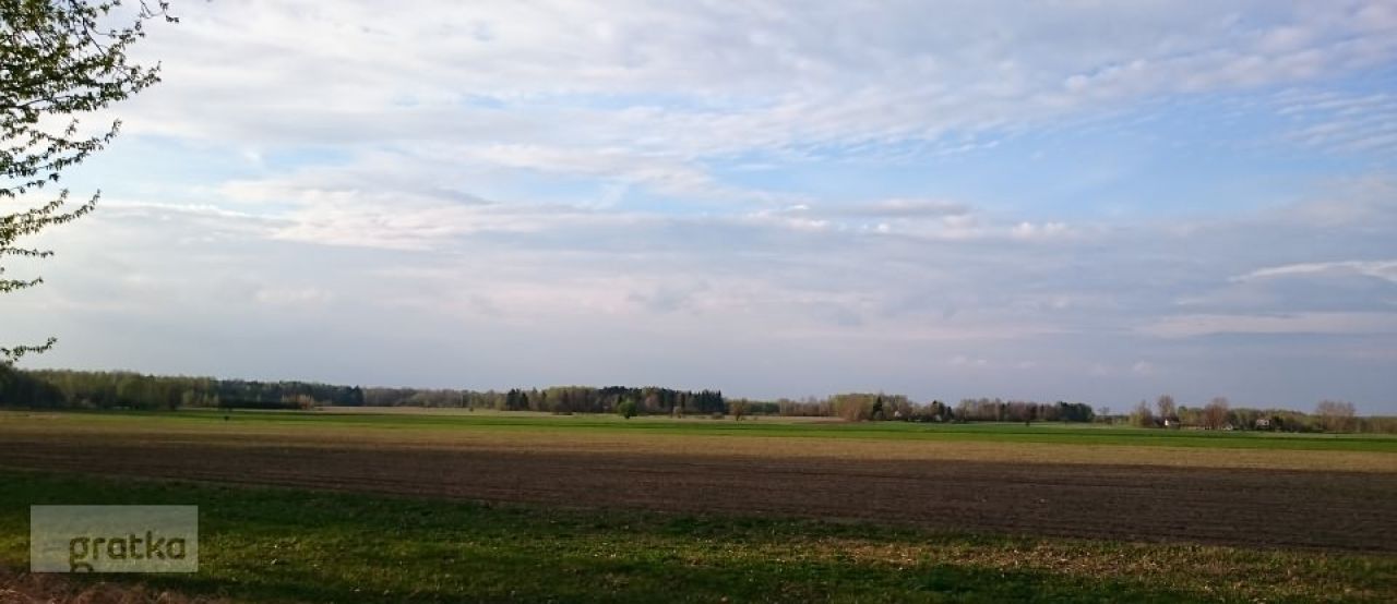 Działka rolna Rafałówka. Zdjęcie 5