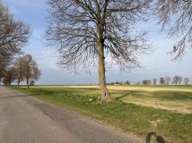 Działka budowlana Zdziechowa. Zdjęcie 1