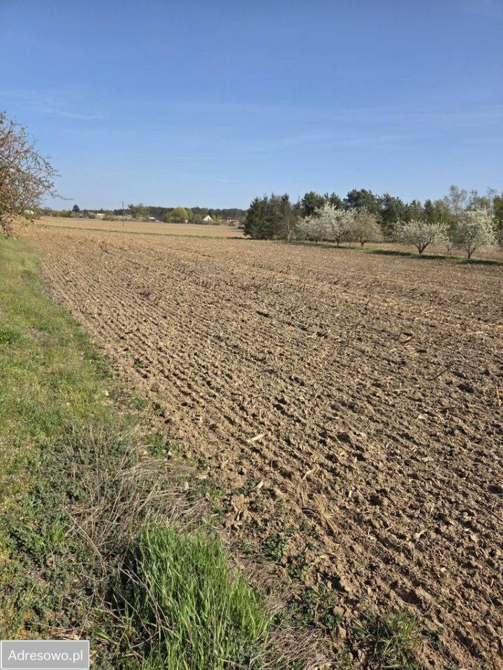 Działka budowlana Toporzysko. Zdjęcie 4