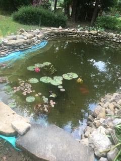 bliźniak, 6 pokoi Bircza, ul. A. Rudawskiego. Zdjęcie 2