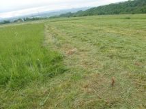 Działka budowlana Wojciechowice. Zdjęcie 3