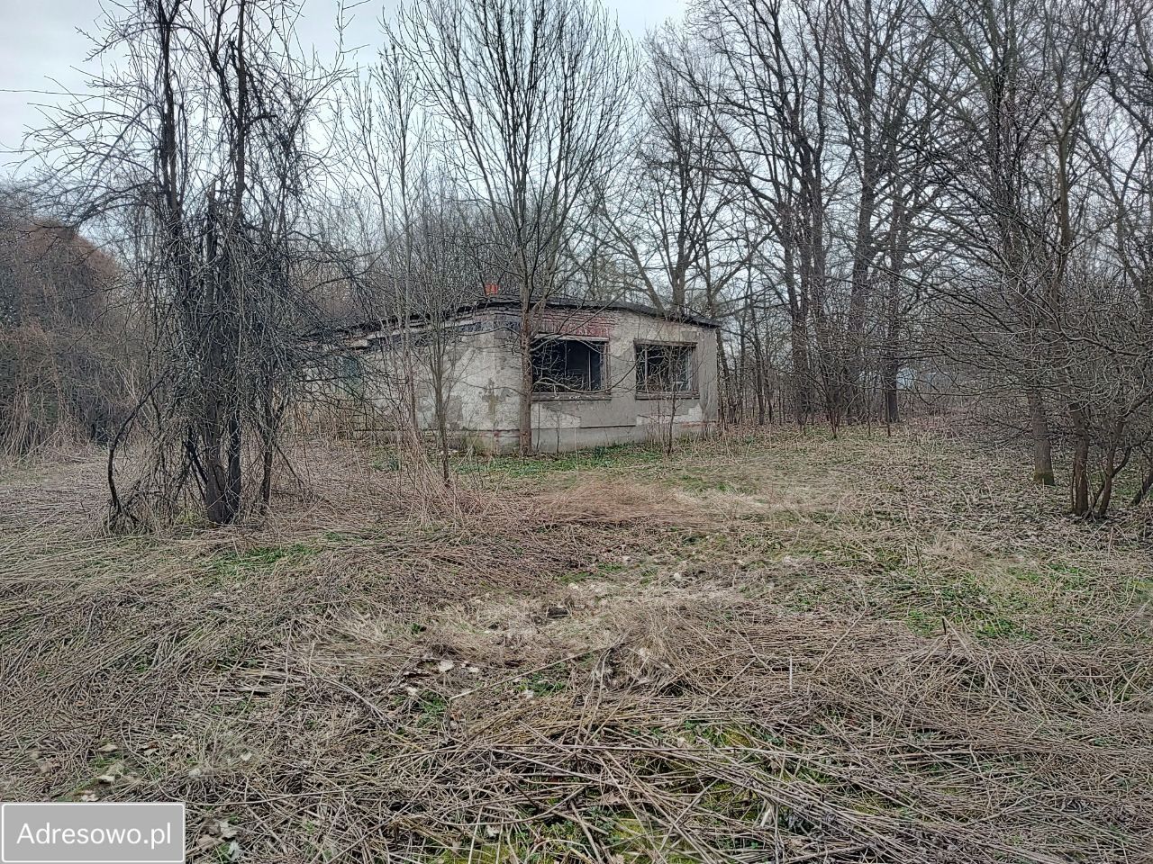 Działka rolno-budowlana Ryszkowa Wola. Zdjęcie 8