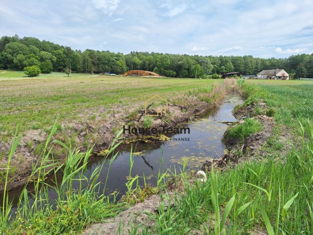 Działka rolna Toporzysko, ul. Podleśna. Zdjęcie 7