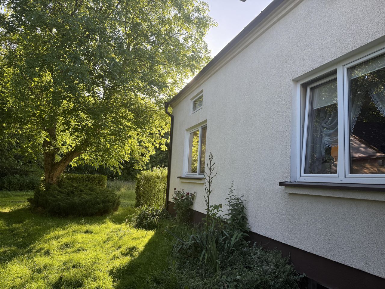 siedlisko, 3 pokoje Miętkie. Zdjęcie 3