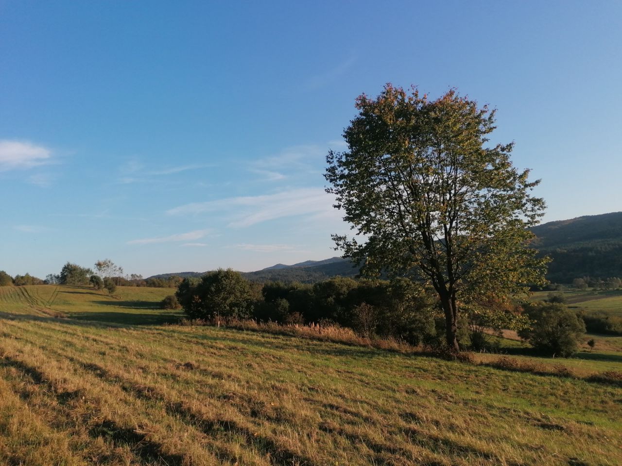Działka rekreacyjna Rybotycze. Zdjęcie 41