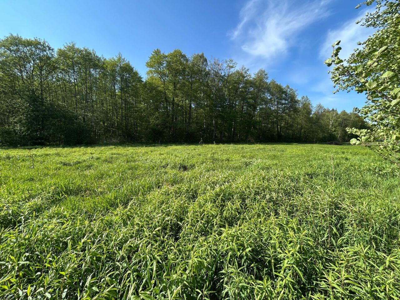 Działka budowlana Radziejowice, ul. Ossolińskich. Zdjęcie 5