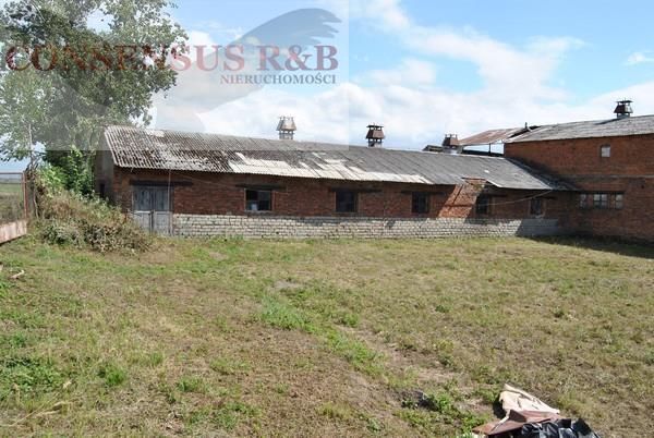 Hala/magazyn Prudnik. Zdjęcie 4