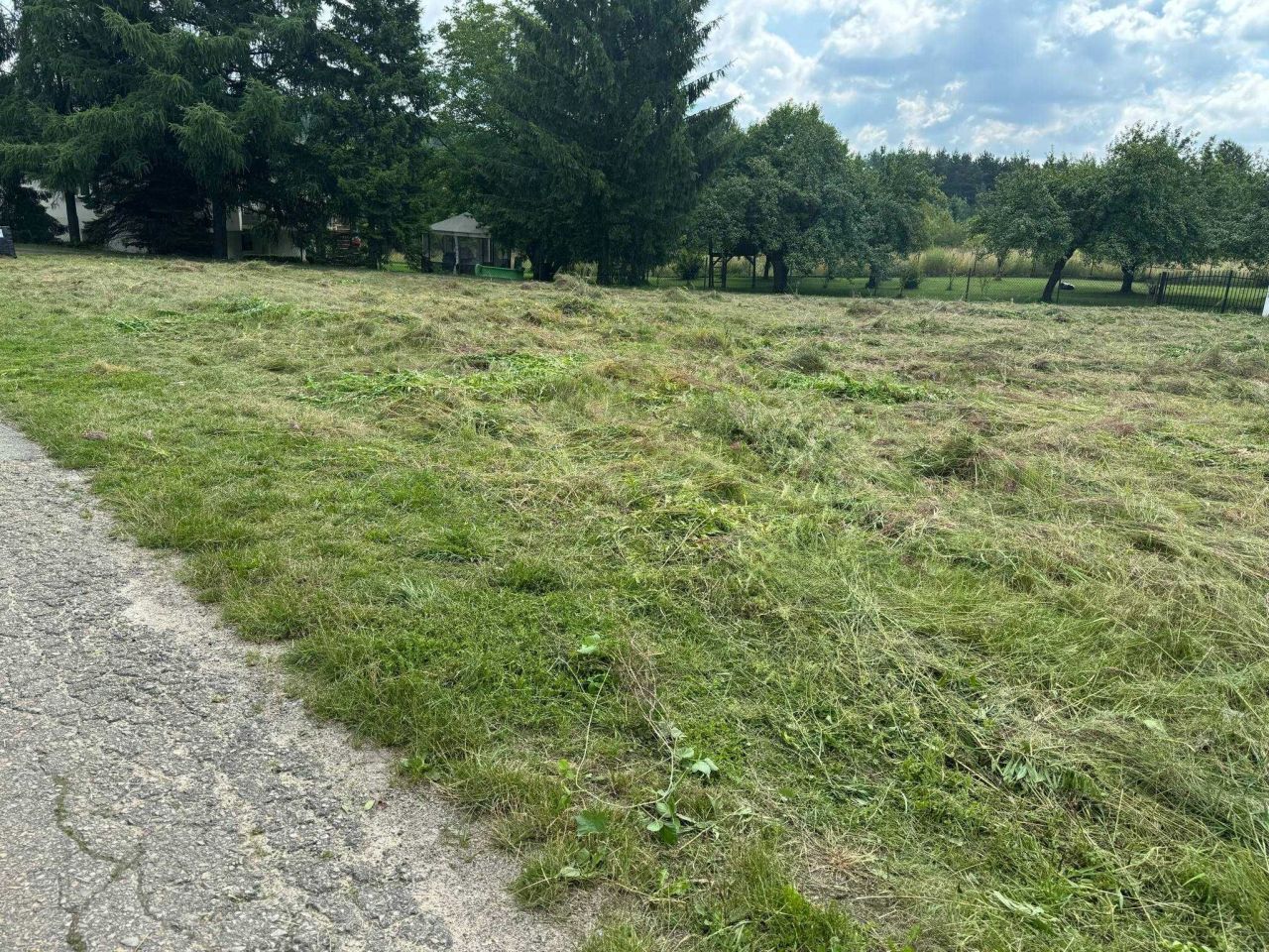 Działka rolna Czyżówka. Zdjęcie 4