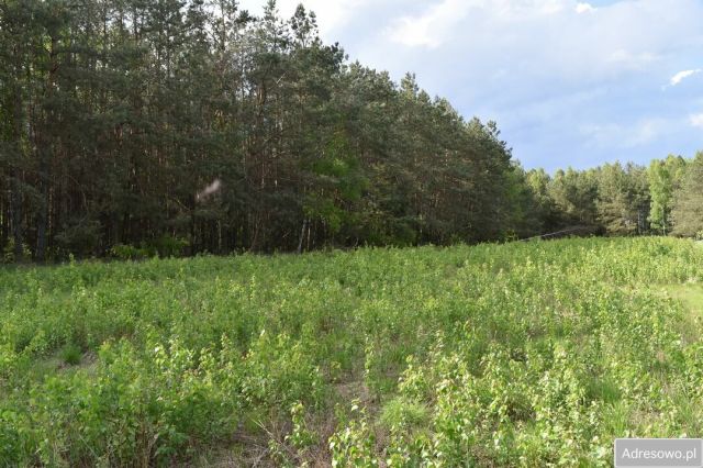 Działka rolna Pstrągi-Gniewoty. Zdjęcie 1